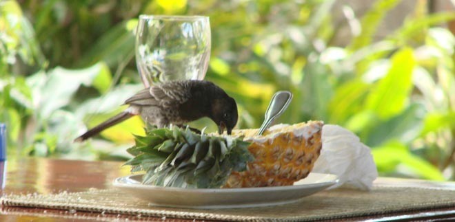 Sharing lunch with the locals © BW Media